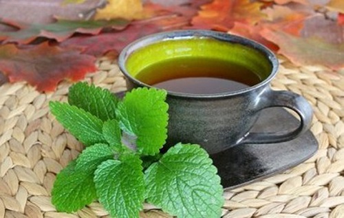uống trà xanh có giảm cân không